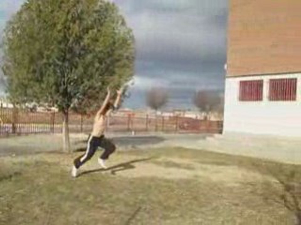 Sampler-Dani-((2009))Street stunt y Tricking