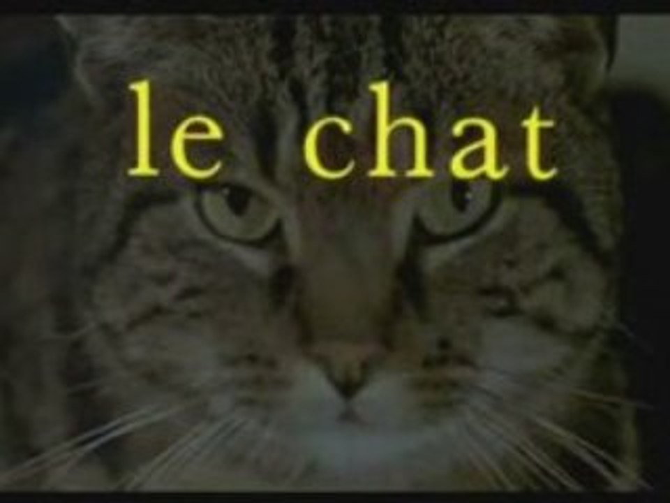 Le Chat 1971 Gabin Signoret Simenon Film Granier Clip Fr Hq Video Dailymotion