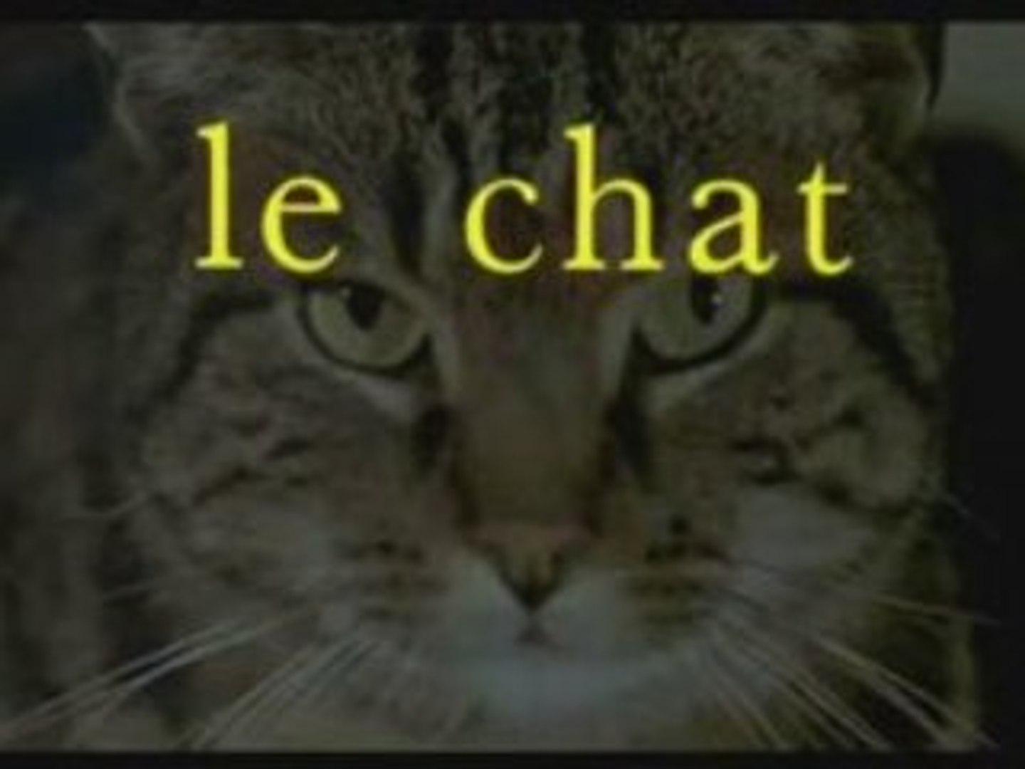 LE CHAT 1971 GABIN SIGNORET SIMENON FILM GRANIER CLIP FR HQ - Vidéo  Dailymotion