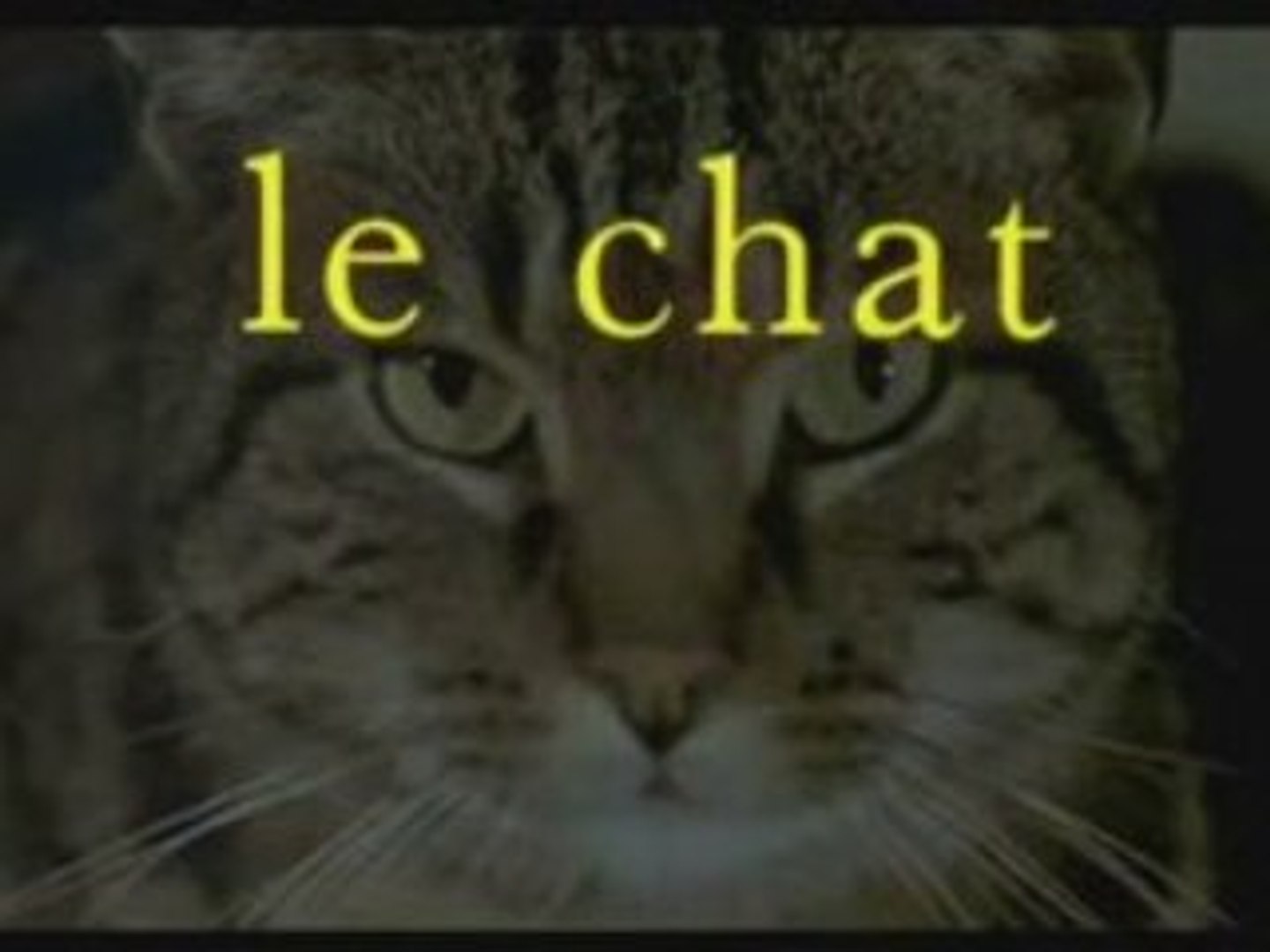 Le Chat 1971 Gabin Signoret Simenon Film Granier Clip Fr Hq Video Dailymotion