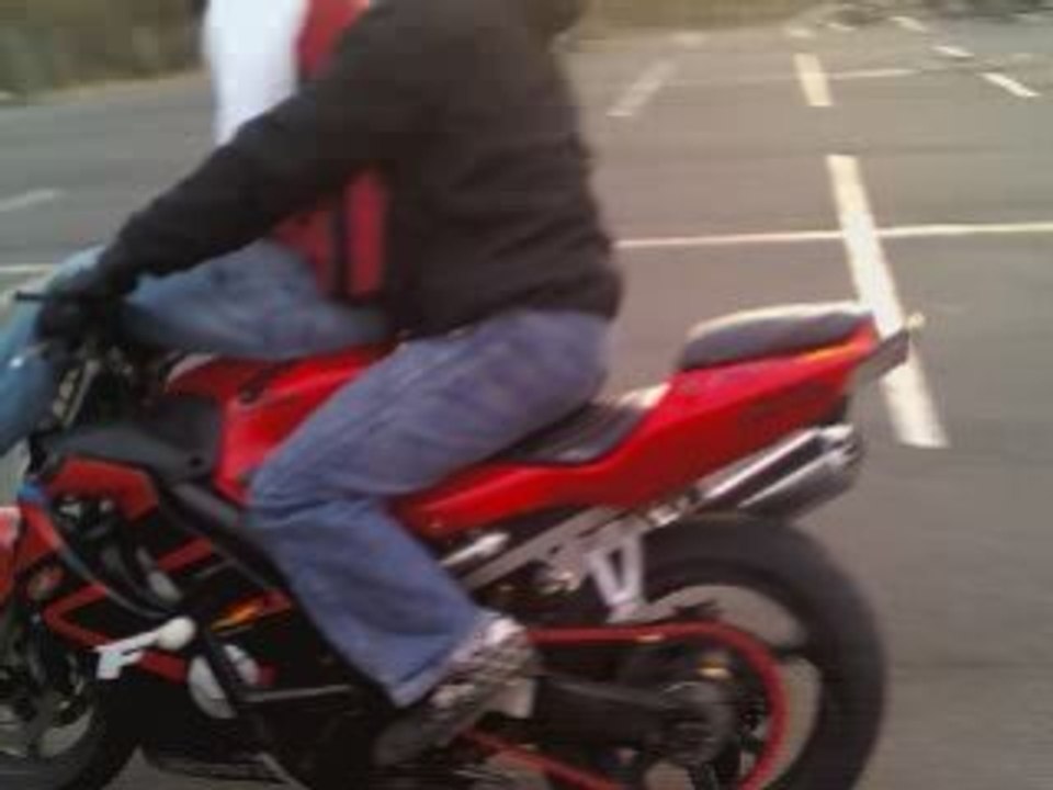 LaOn PuR sTuNt