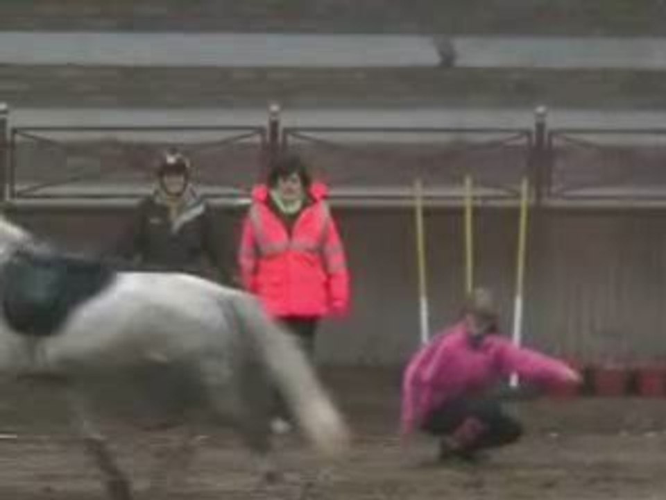 Chute Sarah