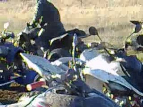 les voleurs de poule