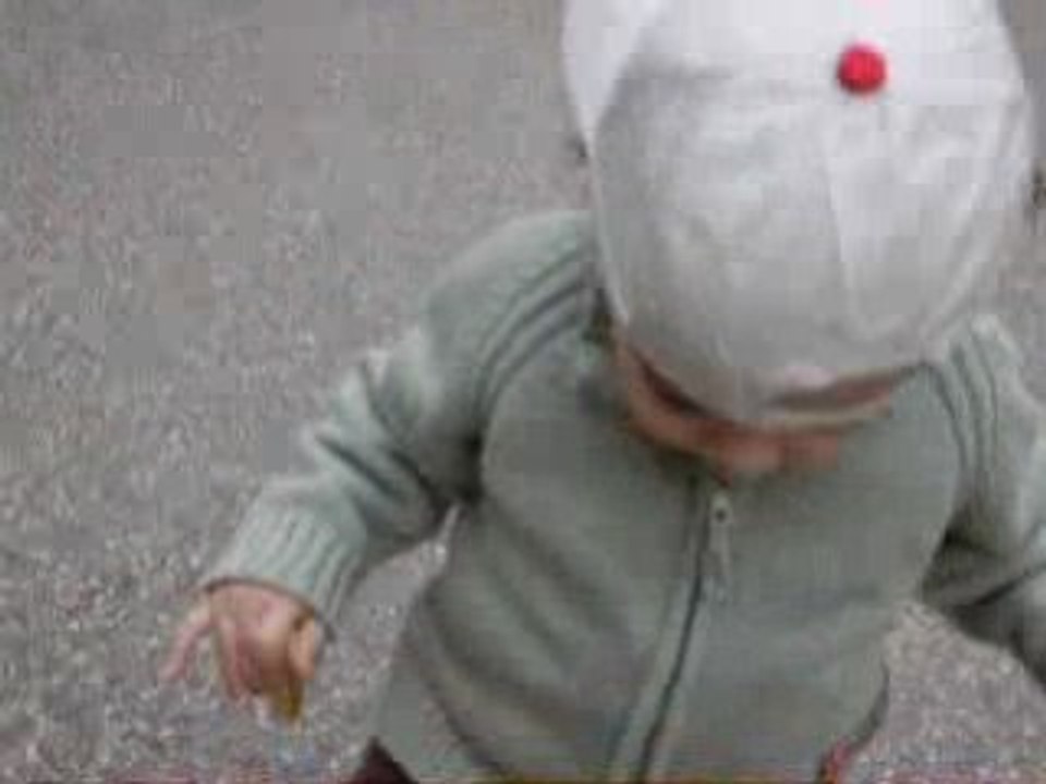 ADAMM