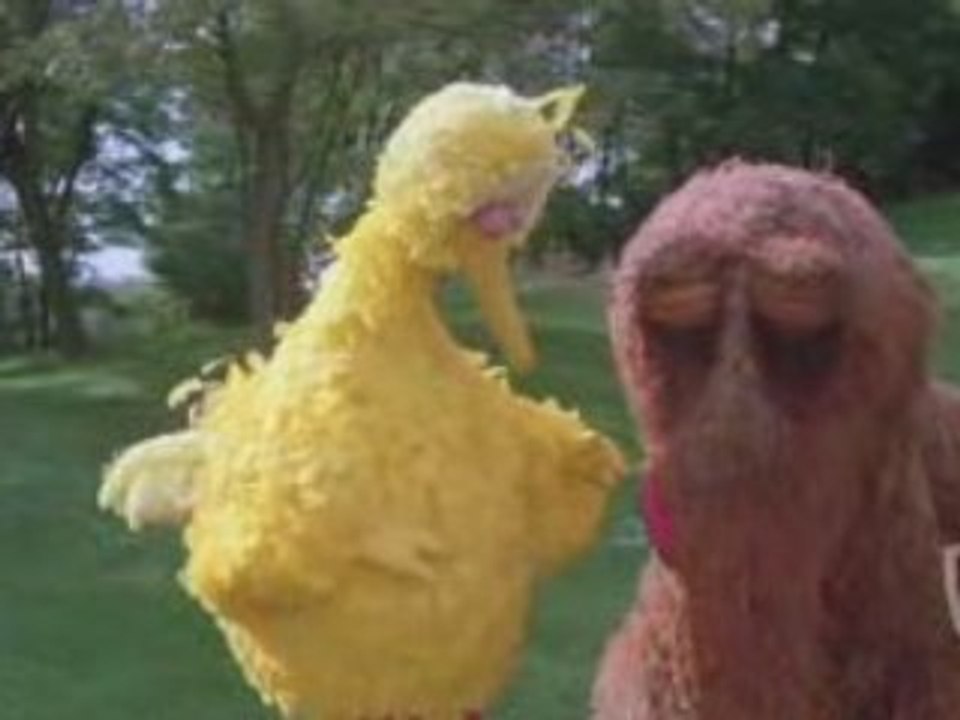 Sesame Street - Follow that Bird