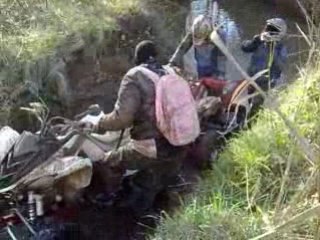 les voleurs de poule