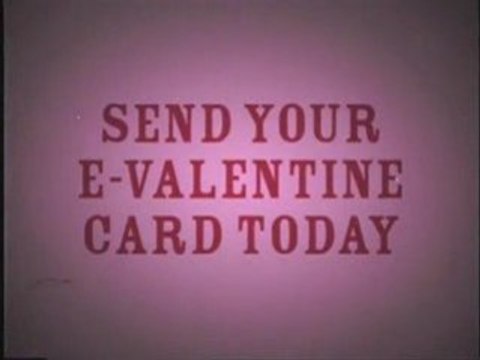 Valentines Day Los Angeles Zoo | Valentines Day Event Zoo