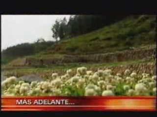 Anta, primer pueblo 100% ecológico (cuzco-peru) parte 2 de 2