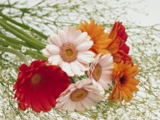 ATEŞİM VAR KÜLÜM YOK SUAT SAYIN