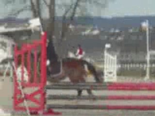 Compet maisons laffite