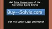 Buy Salvia Divinorum Legal and Cheap