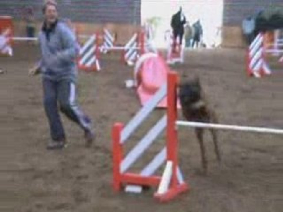 Agility Tichemont 08 /02/09