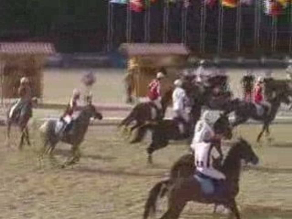 Allemagne France Coupe du Monde de Horse Ball 2008