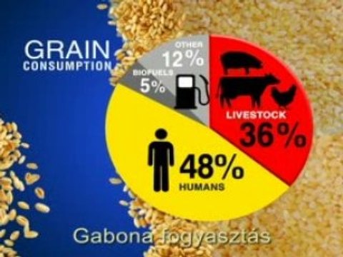 Nincs elég vizünk és élelmünk?
