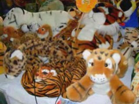 Somain -les collectionneurs-kevin , un félinophiliste