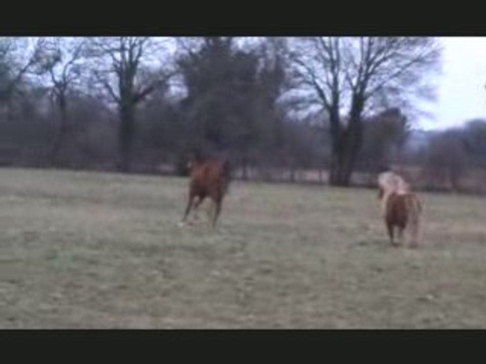 Les malheurs de Jojo