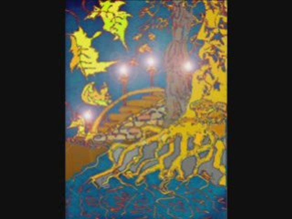 Bizarre by Bogárka and Viktor Séthy