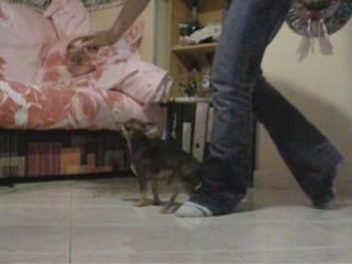 Chorégraphie oberythmée avec Divine