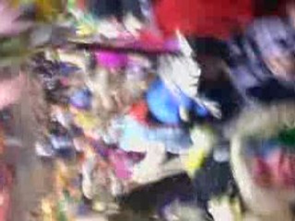 bal de carnaval zuydtcoot 2009