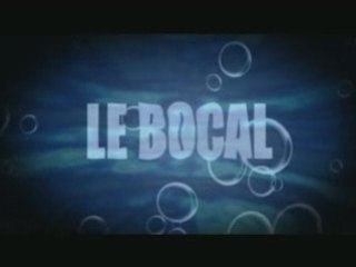 Bande annonce  LE BOCAL