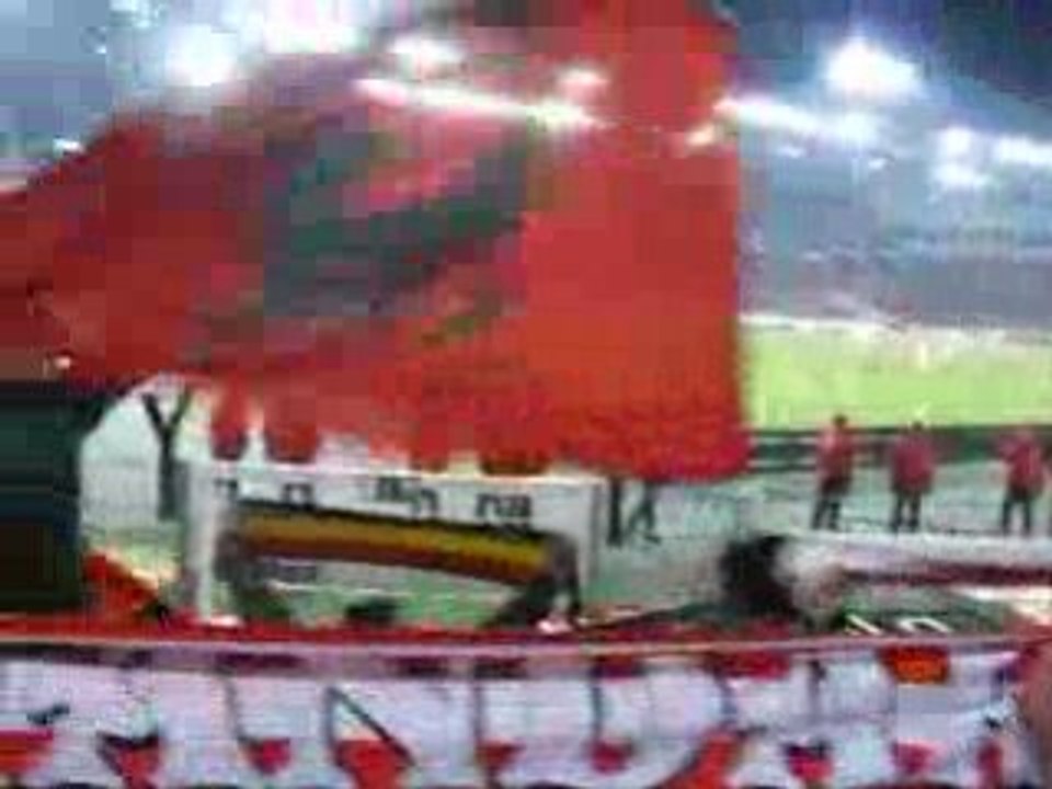Supporters du Standard de Liège à Stuttgart