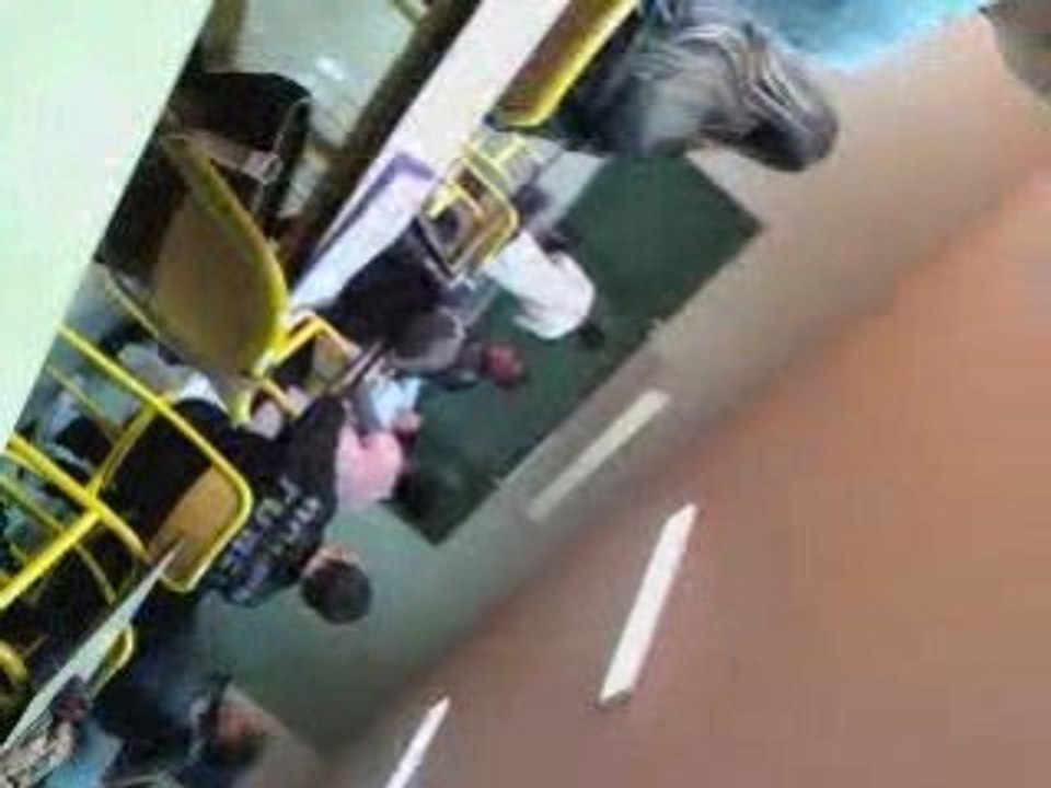 UNE F0LLE EN COUR