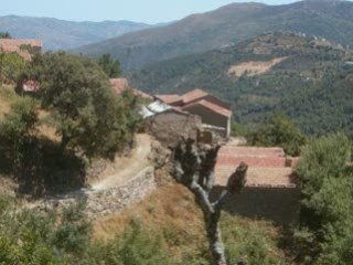kabylie akfadou ètè 2008