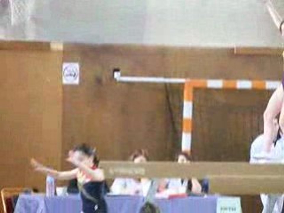 gym poutre