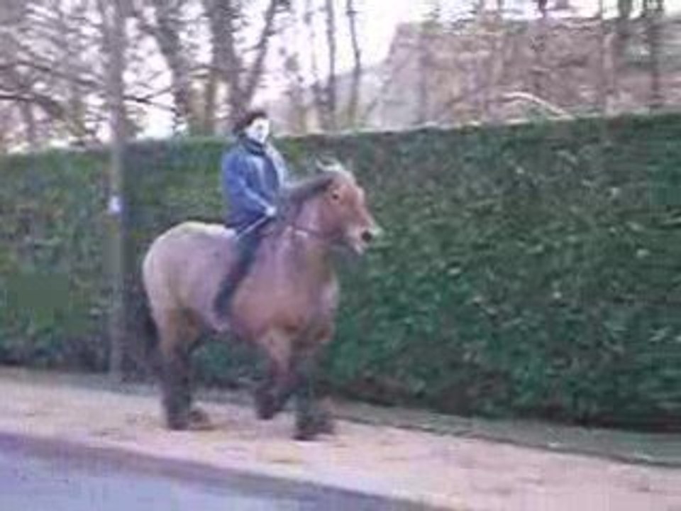 Galop iro