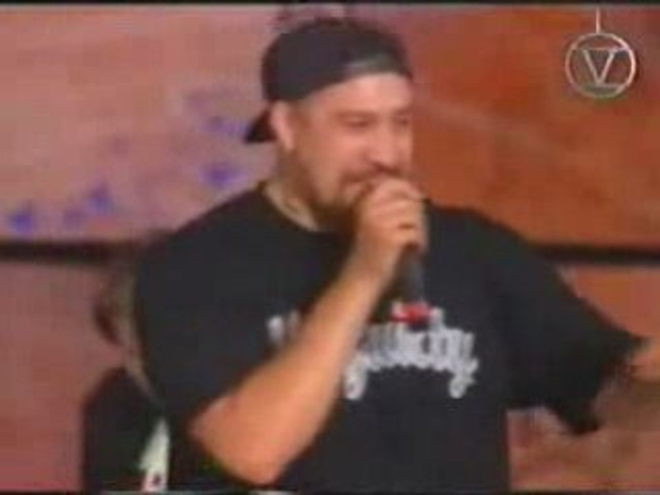 Cypress Hill at Woodstock '94 part.2