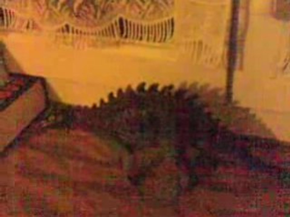 La monté des marches de Rex le T-rex