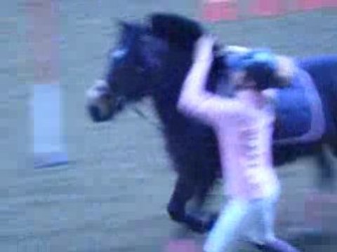 Pony Games : Les marches