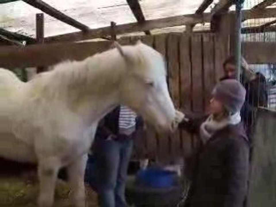 VISITE ULINE