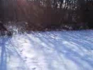 Chiki et Louna à la neige