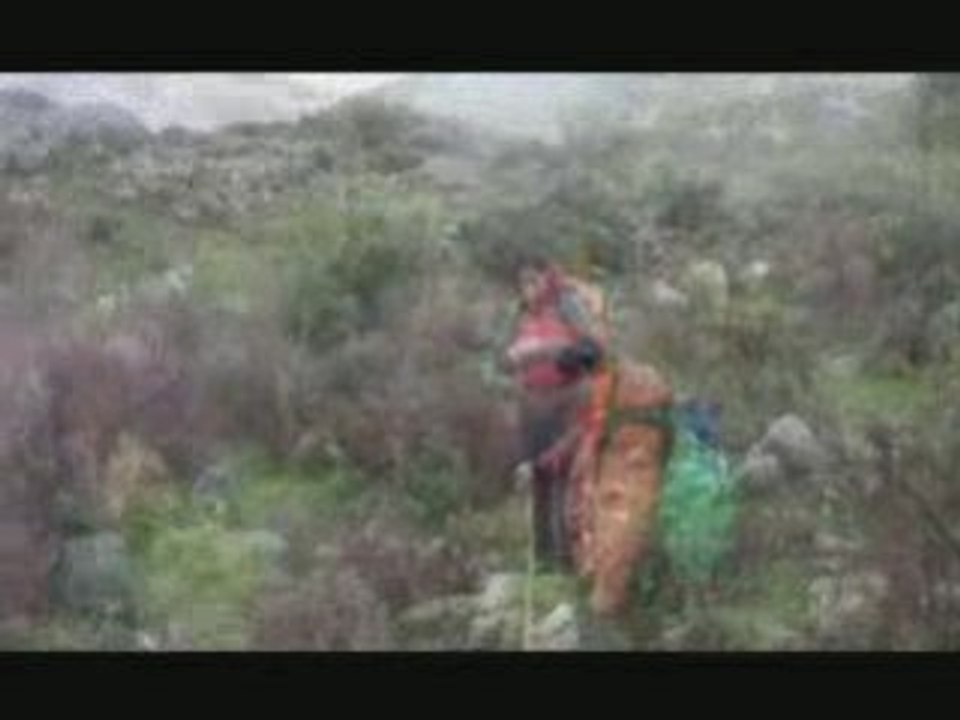 Film_Şelale 2