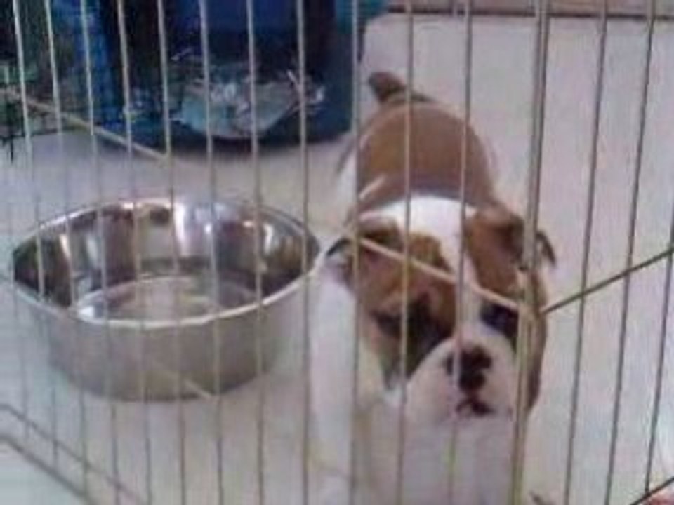 VID 00009-20090210-1112