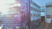 SCANIA DAF VOLVO betailleres