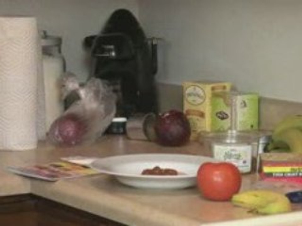 Nutrisystem Review
