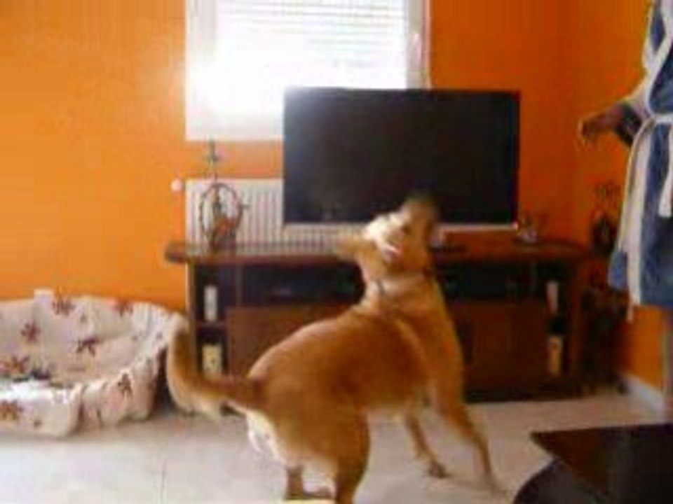 candra en train de jouer au volley ball puis au ping pong !!