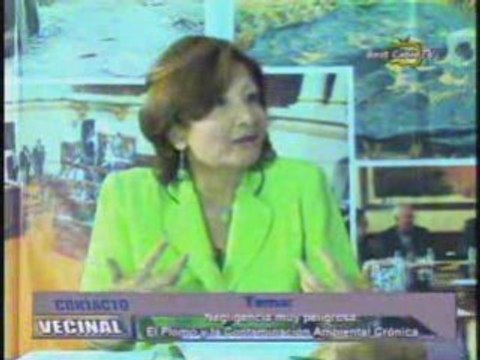 EL PLOMO Y LA CONTAMINACIÓN AMBIENTAL CRÓNICA