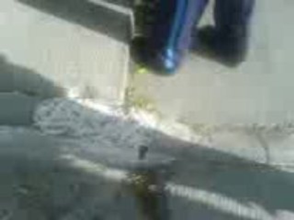 Degollado