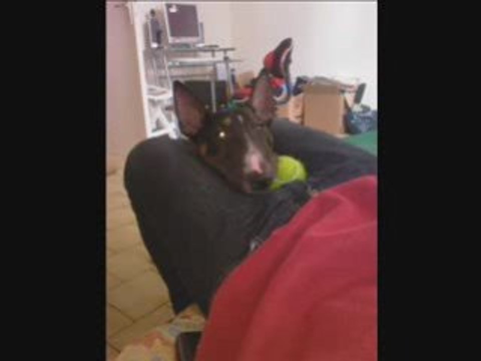 dark dans toute sa splendeur