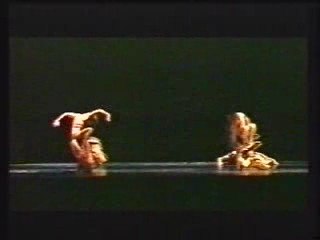 Paysages (1997) by Luc Maubon