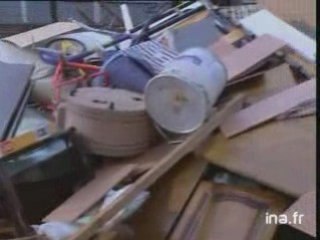 Biscottes 12 ans apres