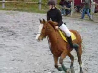 Laure Cadec & Jalaad De Leyrieux Clb Po El CSO Cx 08-02-2009