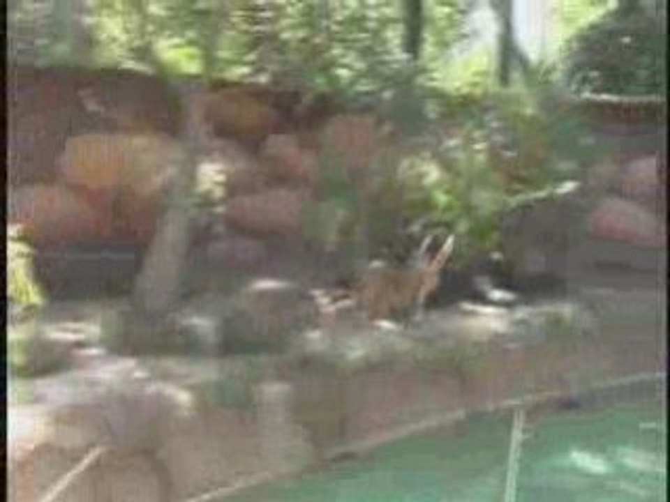 Los Angeles Valentines Day | Los Angeles Zoo Valentines Day