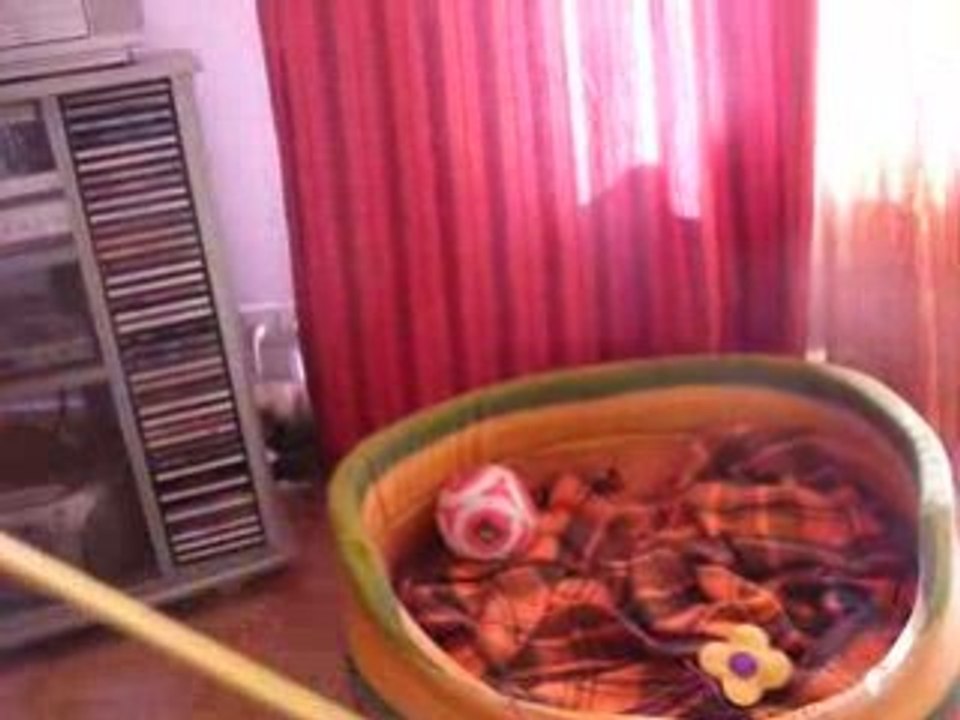 Vacances vyrus