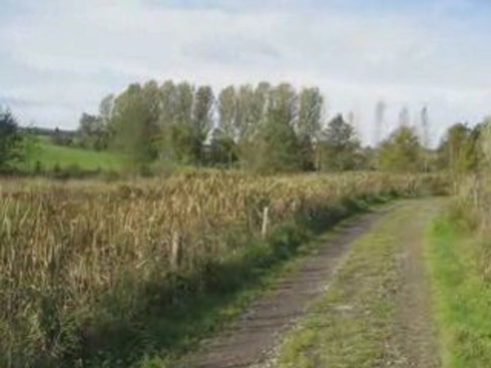 Diaporama de Photos année 2006