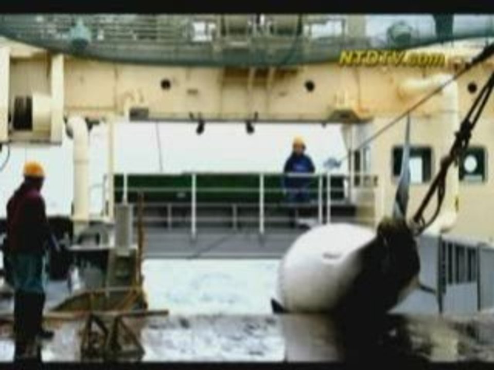 Anti-Whaling Activists Ram Ship
