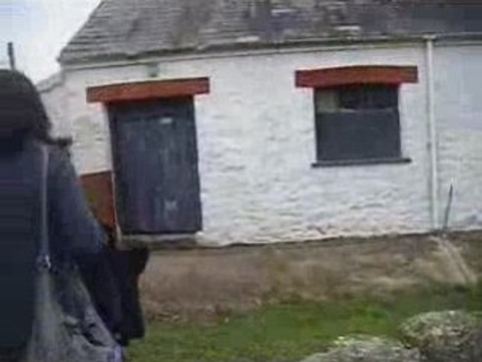 Pg
